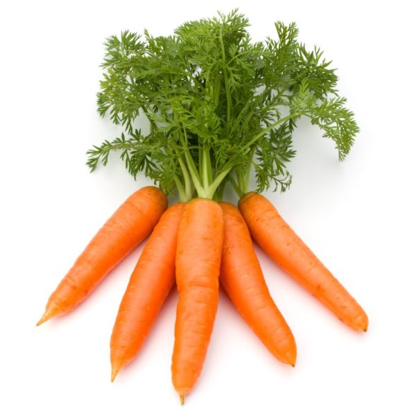 Brastagi Carrots