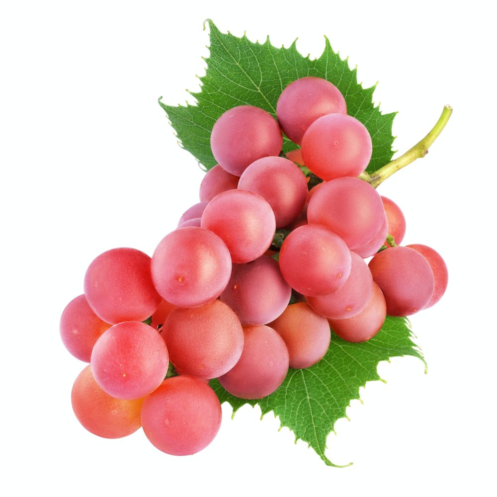 Fresh Grape